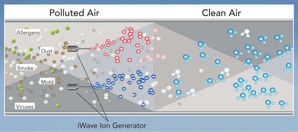 iWave-Air-Purifier-Cleansing-Diagram